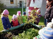 Sklízíme úrodu na školní zahrádce